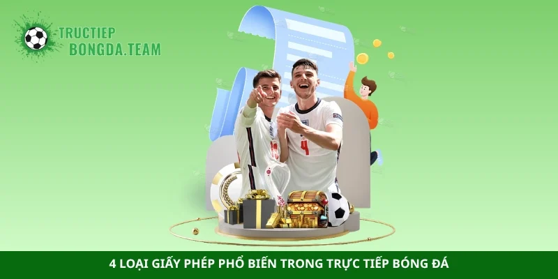 4 loại giấy phép phổ biến trong trực tiếp bóng đá