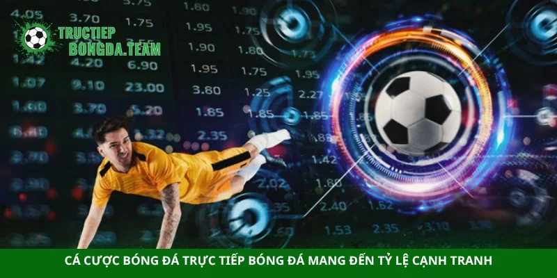 Cá cược bóng đá trực tiếp bóng đá mang đến tỷ lệ cạnh tranh