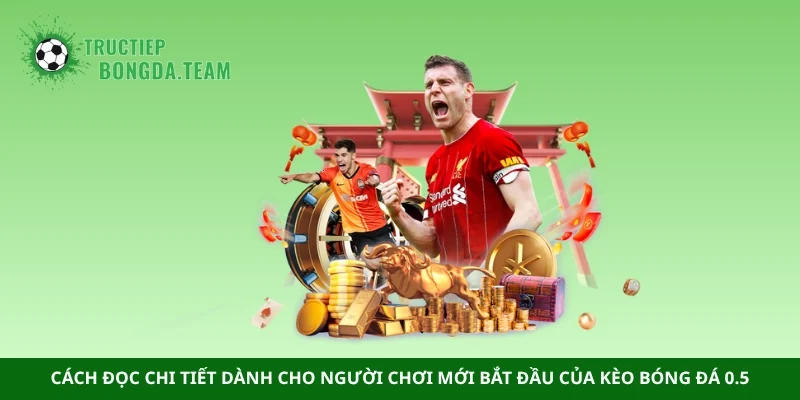 Cách đọc chi tiết dành cho người chơi mới bắt đầu của kèo bóng đá 0.5