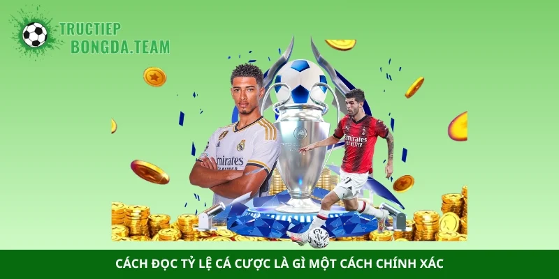 Cách đọc tỷ lệ cá cược là gì một cách chính xác