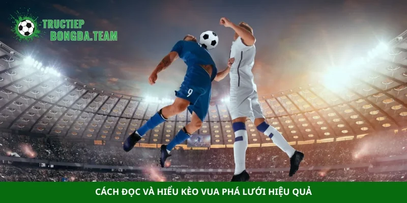 Cách đọc và hiểu kèo vua phá lưới hiệu quả