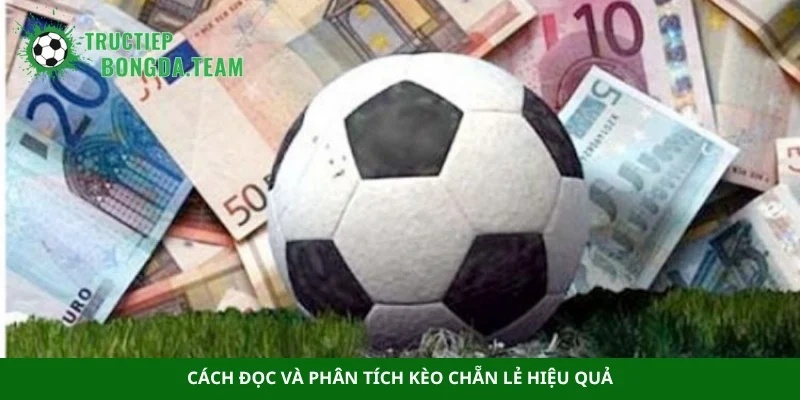 Cách đọc và phân tích kèo chẵn lẻ hiệu quả