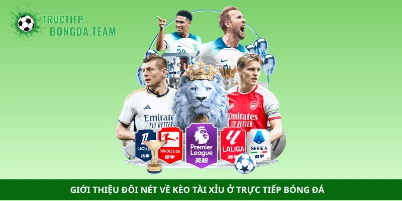 Giới thiệu đôi nét về kèo tài xỉu ở trực tiếp bóng đá