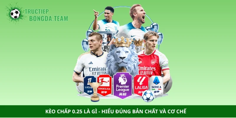 Kèo chấp 0.25 là gì - Hiểu đúng bản chất và cơ chế