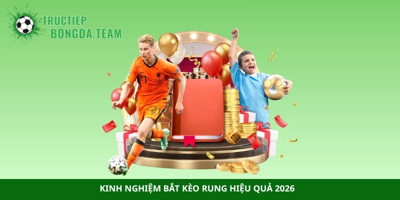 Kinh nghiệm bắt kèo rung hiệu quả 2026
