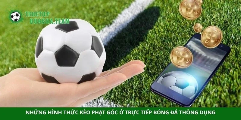 Những hình thức kèo phạt góc ở trực tiếp bóng đá thông dụng
