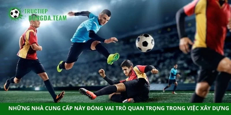 Những nhà cung cấp này đóng vai trò quan trọng trong việc xây dựng