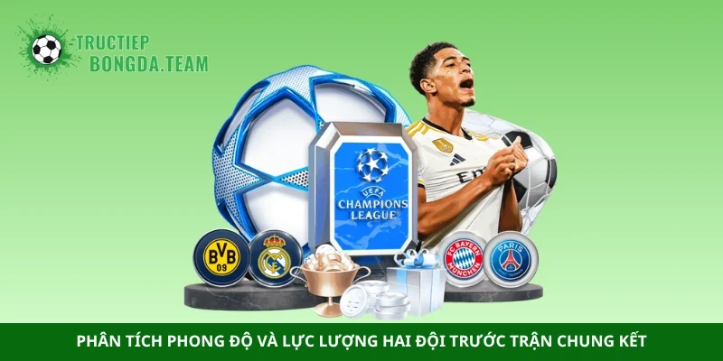 Phân tích phong độ và lực lượng hai đội trước trận chung kết