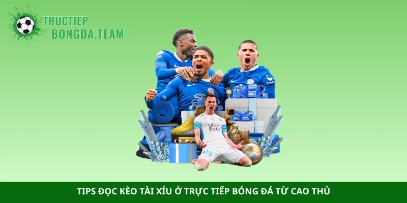 Tips đọc kèo tài xỉu ở trực tiếp bóng đá từ cao thủ
