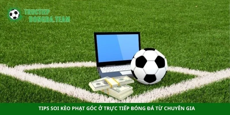 Tips soi kèo phạt góc ở trực tiếp bóng đá từ chuyên gia
