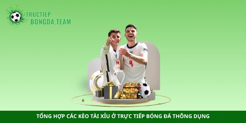 Tổng hợp các kèo tài xỉu ở trực tiếp bóng đá thông dụng