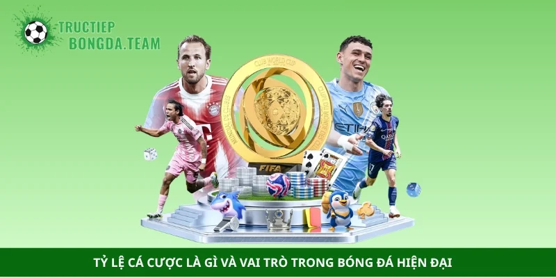 Tỷ lệ cá cược là gì và vai trò trong bóng đá hiện đại